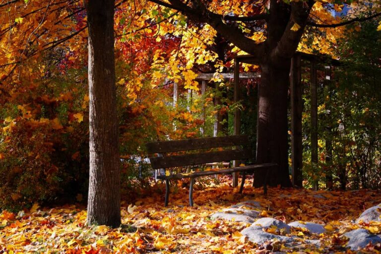 Herbstlicher Garten Ende Oktober. Die Gartenarbeiten aus September sollten dann abgeschlossen sein.