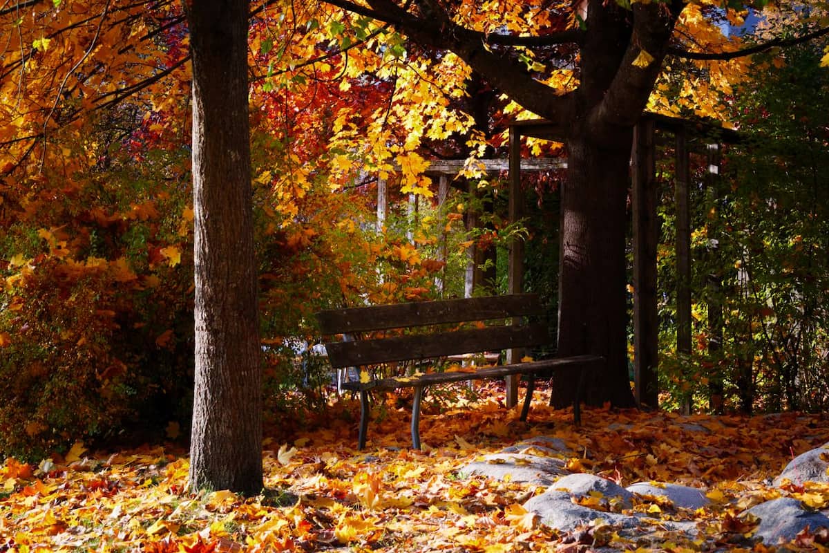 Herbstlicher Garten Ende Oktober. Die Gartenarbeiten aus September sollten dann abgeschlossen sein.