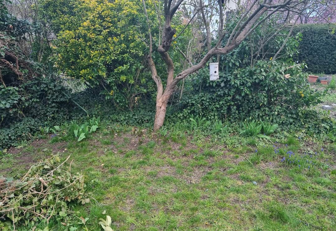 Blick in Sarahs Garten im Frühjahr – Ausgangssituation