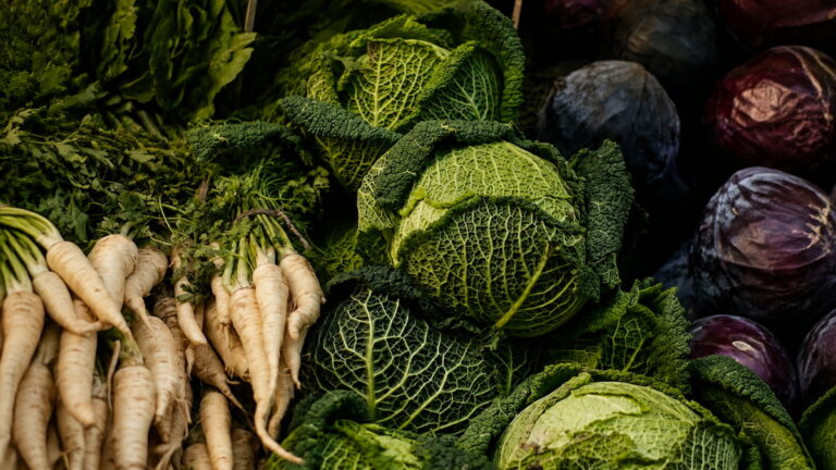Wintergemüse mit Wirsing, Rotkohl und Pastinaken als vitaminreiche Ernte für Herbst und Winter