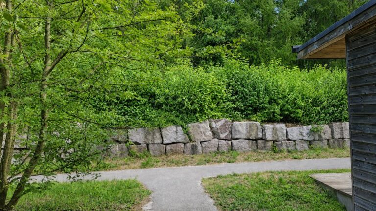 Dichte grüne Hecke hinter einer Natursteinmauer in einem Garten