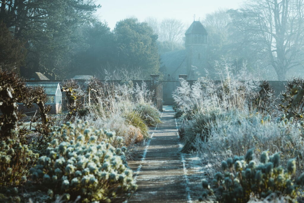 Winterlicher Garten mit frostigen Stauden und Gräsern entlang eines Gartenwegs