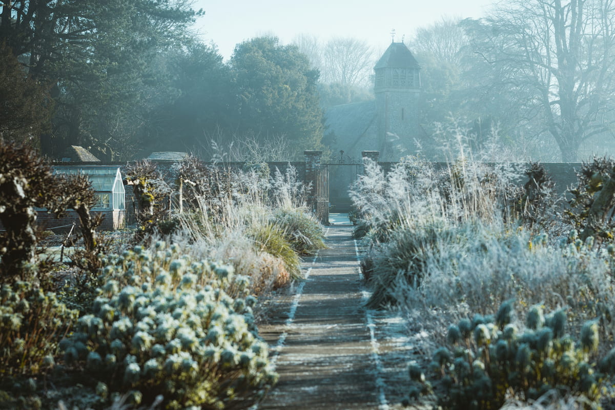 Winterlicher Garten mit frostigen Stauden und Gräsern entlang eines Gartenwegs