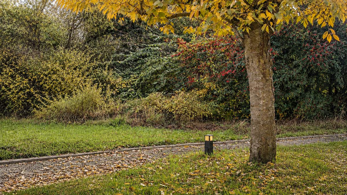 Herbstlicher Garten im Oktober mit Rasen, Beeten und herbstlicher Bepflanzung