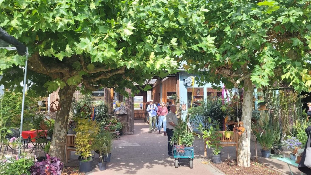 Ein Gartentag, zwei neue Pflanzen und die Suche nach einem Baum