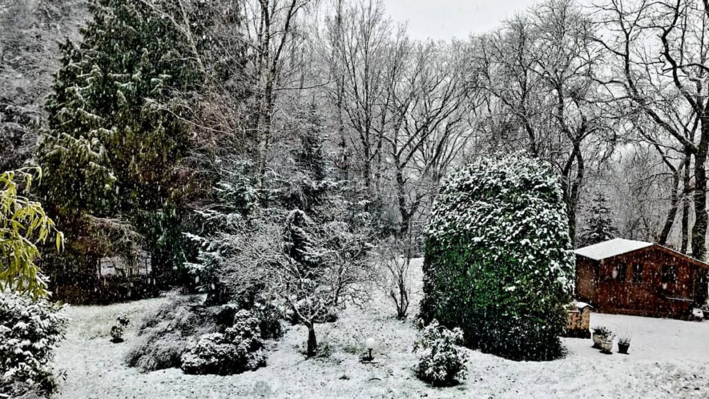 Verschneiter Garten im Winter mit Bäumen, Sträuchern und Gartenhaus